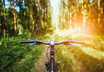 Bicycle handlebars and GPS in forest