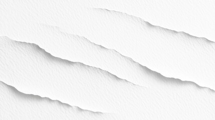 Obraz premium Torn white paper texture