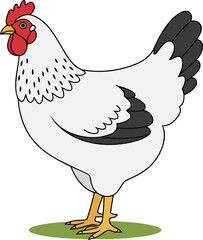 Light Brahma Chicken Standing - Animal Character Illustration Isolated on Transparent Background