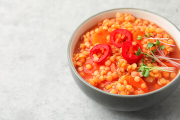 Delicious lentil soup with vegetables in bowl on grey table, closeup. Space for text