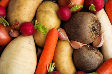 Many different raw vegetables as background, top view