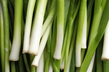 Many fresh green onions as background, top view