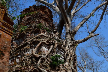 Fototapeta premium カンボジア シェムリアップ遺跡群 コー・ケー