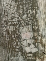 Antique Moldy Wall Texture Aesthetic Background