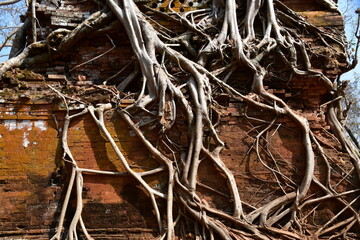 カンボジア シェムリアップ遺跡群 コー・ケー