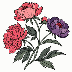 peony flowers with leaves