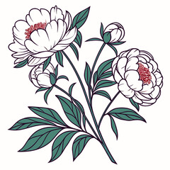 bunch of peony flowers