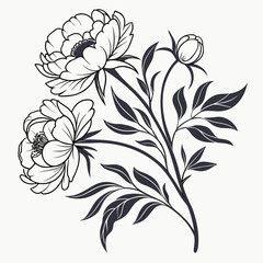 peony flowers vector