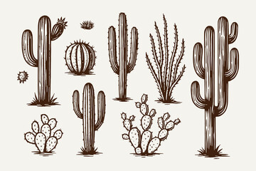 Detailed hand-drawn vector collection of various desert flora and succulent plants, including different cactus types, rendered in a monochrome sketch style for nature and western designs. © Chairul