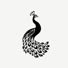 Fototapeta premium Elegant black peacock illustration on white background vector art