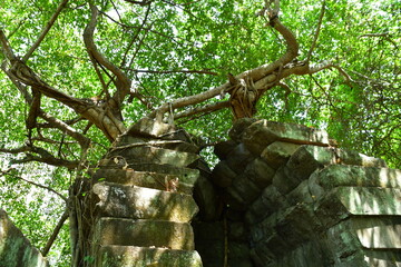 Fototapeta premium カンボジア シェムリアップ遺跡群 ベン・メリア