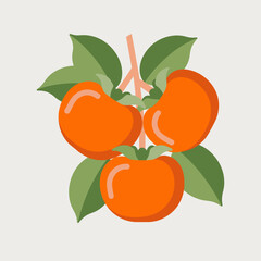 A beautiful cluster of vibrant orange persimmons surrounded by rich green leaves, showcasing the natural beauty and freshness of this delightful fruit arrangement.