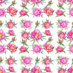 seamless pattern with pink poenies
