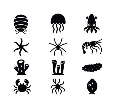 Deep-Sea Invertebrate Icons. Deep-sea invertebrates. Solid icon
