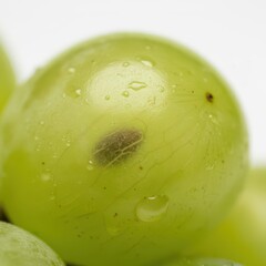 Detailed view of a fresh green grape showing water drops and a spot