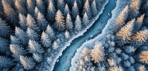 Aerial view of a snowy winter forest. A winding river flows through the frosted pine trees. Golden light illuminates the serene frozen landscape.