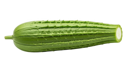 Green spiky ridge gourd cut end visible on black luffa