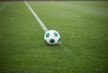 Soccer Ball on Green Grass Field with White Court Lines