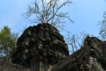 Naklejka premium カンボジア シェムリアップ遺跡群 タ・プローム 