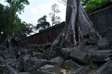 Obraz premium カンボジア シェムリアップ遺跡群 タ・プローム 