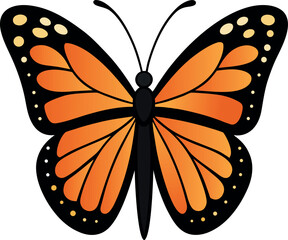 Vibrant Monarch Butterfly with Orange Wings and Black Veins