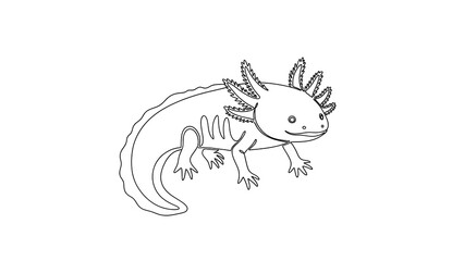 Minimalist Axolotl Single Line Drawing on Clean White Background