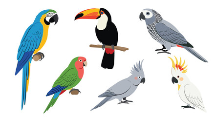 Fototapeta premium Vivid collage of six tropical birds including macaws toucan cockatiel cockatoo and other colorful parrots perched on branches in bright plumage.