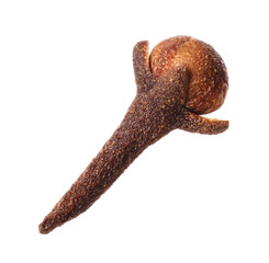 One aromatic clove bud on white background