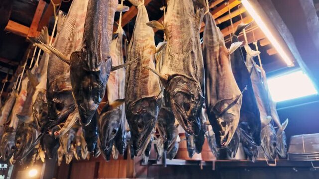 塩引鮭の吊るされた日本家屋