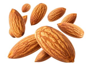 3D Cartoon Computer Monitor Front View, Bright Screen, Isolated (2)