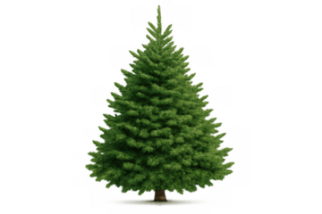 Green christmas tree or fir tree with green needles, isolated on a transparent background, winter holiday symbol