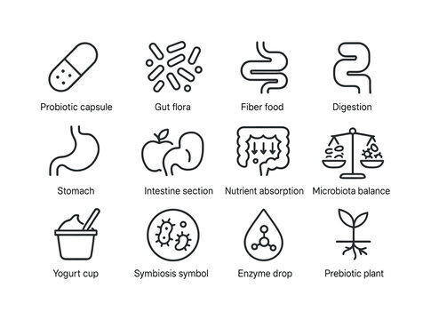 Gut Microbiome Icons. Human gut microbiome. Line icon set of hum