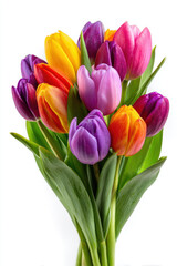 Fototapeta premium bouquet of tulips in shades of purple, pink, yellow, red, and orange set against a clean white background, symbolizing spring, celebration, and fresh beginnings