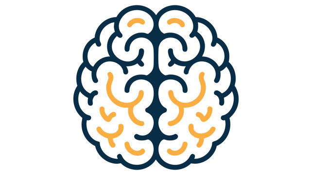 Illustration of a human brain