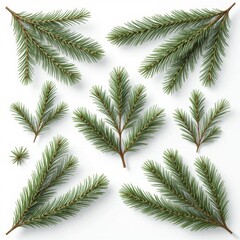 Green pine branches arranged in a neat layout on a white background Generative AI