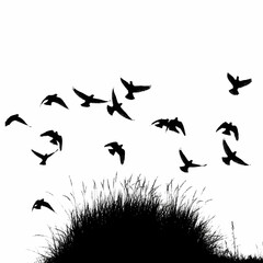 Fototapeta premium A flock of birds takes flight from a grassy hill.