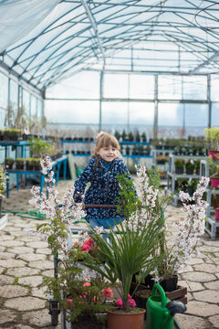 5 year old girl shopping in a garden centre green house in spring