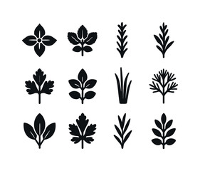 Herb Icons Grid. Herb plant icons. Solid icon set of Herb plant