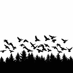 Silhouettes of birds flying above a forest of pine trees at sunset.