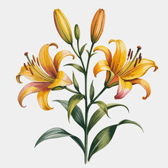 This image features a stunning arrangement of yellow lilies in full bloom, showcasing their vibrant colors and delicate petals set against a clean white background.