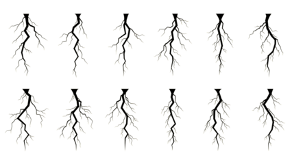 Collection of different neuron structures with varying dendrite branching patterns