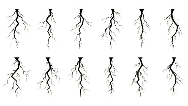 Collection of different neuron structures with varying dendrite branching patterns