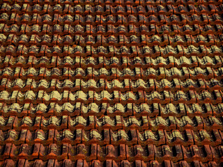 Obraz premium Viel Moos auf einem feuchten und alten Dach