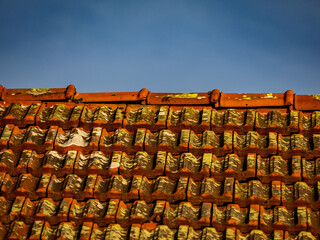 Viel Moos auf einem feuchten und alten Dach