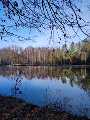 Waldsee