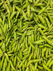 Green pea pods natural background for healthy food concepts and organic grocery design, fresh vegetable texture