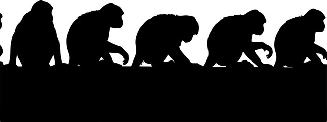 Monkey Silhouette Collection &ndash; Primate Poses Black Vector Set
