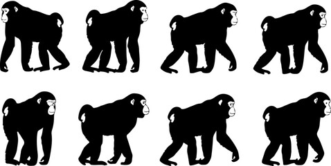 Monkey Silhouette Collection &ndash; Primate Poses Black Vector Set