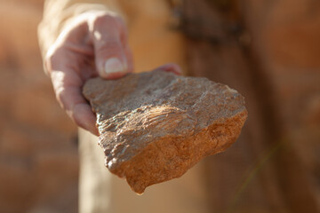 A close-up of a hand holding a rough stone containing a visible shell fossil, highlighting its...