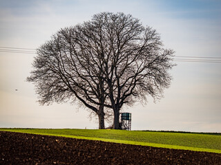 Hoch und Jägersitz © focus finder